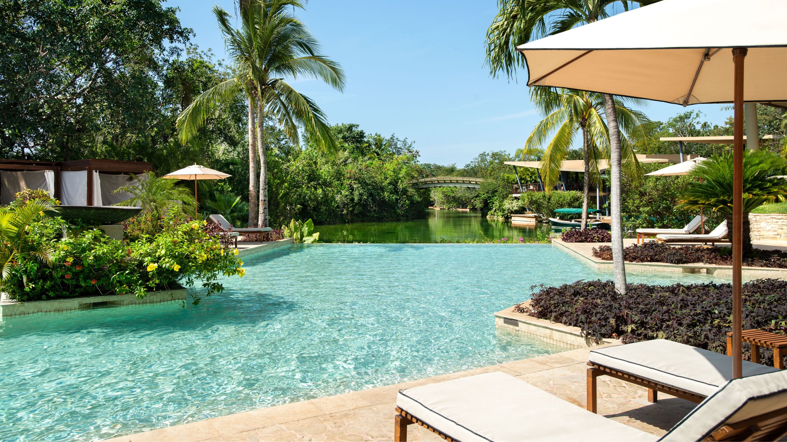 meat tacos topped with avocado on long black plate next to cactus